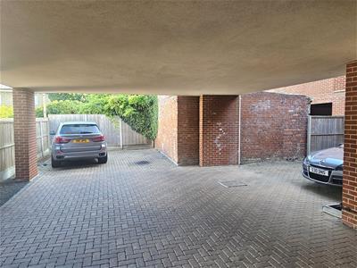 Picture 8